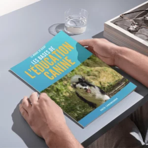 EBOOK - Les Bases De L'éducation Canine